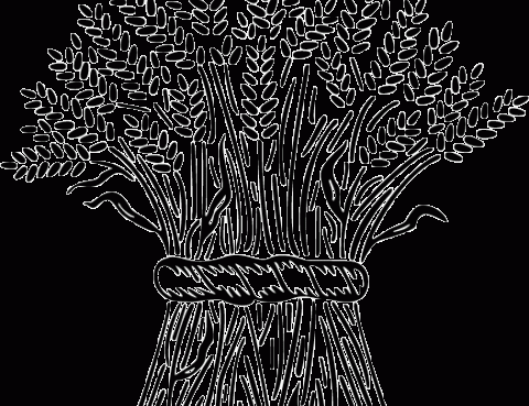 sheaf2